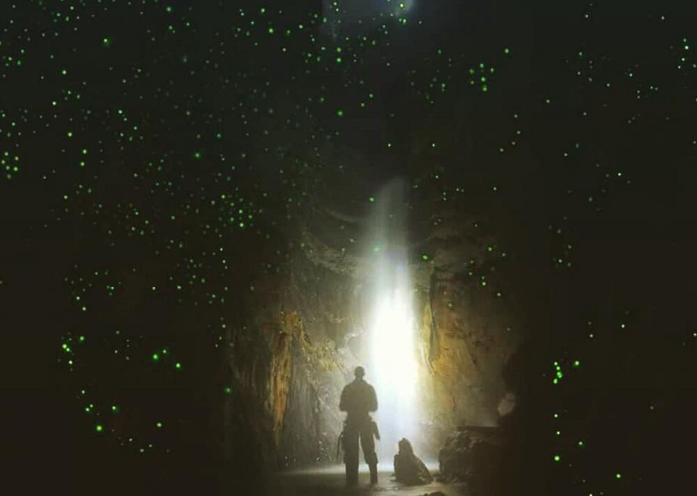 Caverna las Cacas Colombia. Las lampirides hacen presencia con su luz bioluminiscente a -180 metros de profundidad iluminando el inframundo.Foto: Juan Carlos Higuera.