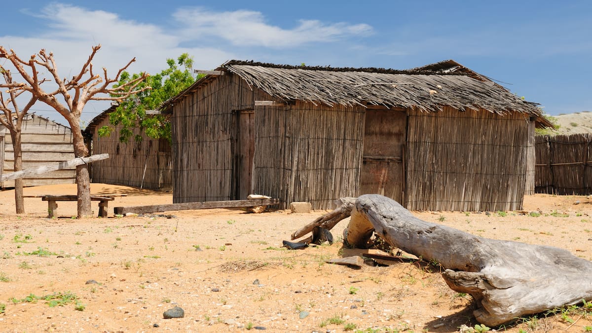 La Guajira fortalece seguridad alimentaria en resguardo Wayuu con unidad avícola para 100 familias
