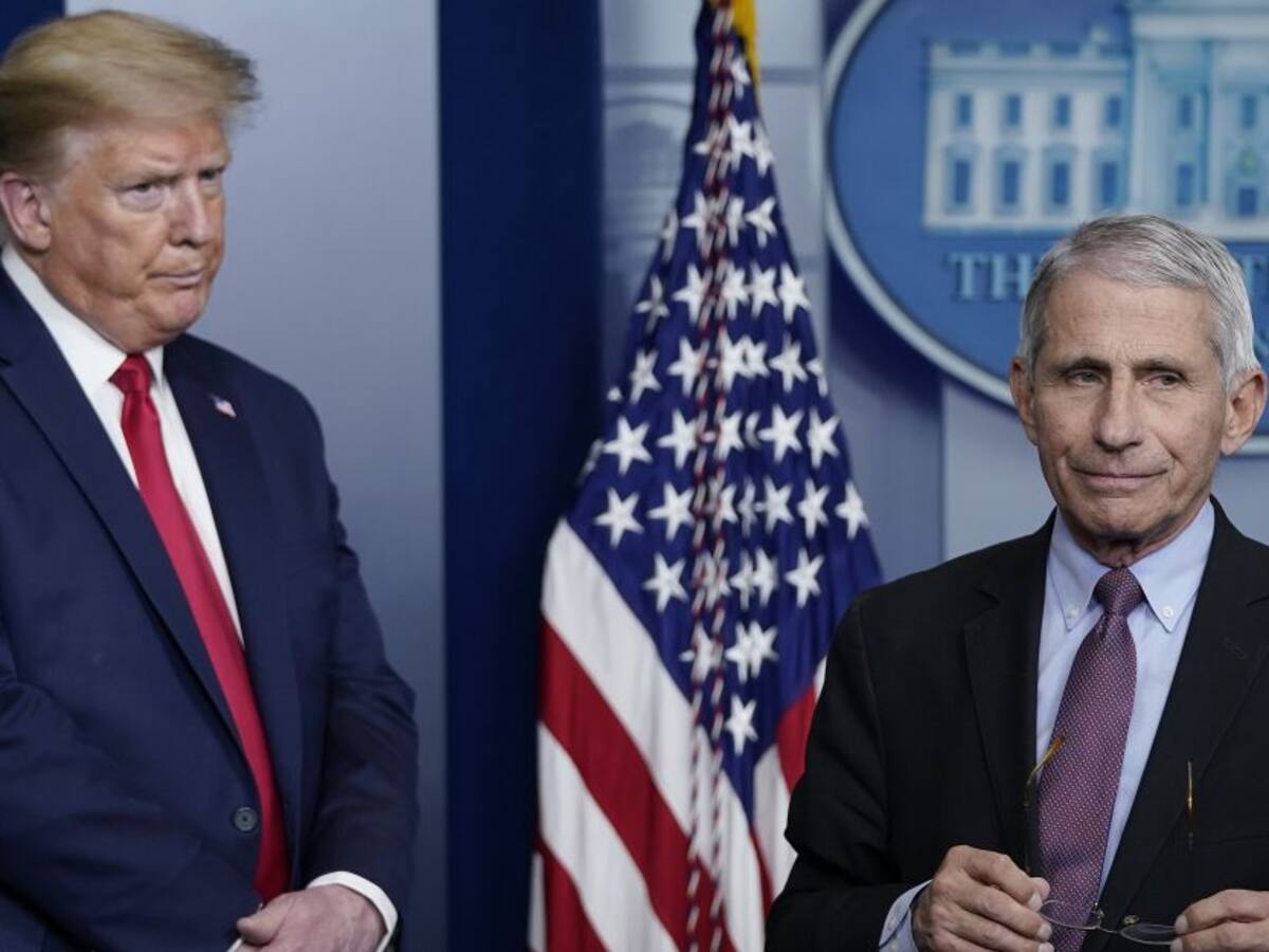 Muertes en EE.UU. podrían ser más altas que las reportadas: asesor de Trump