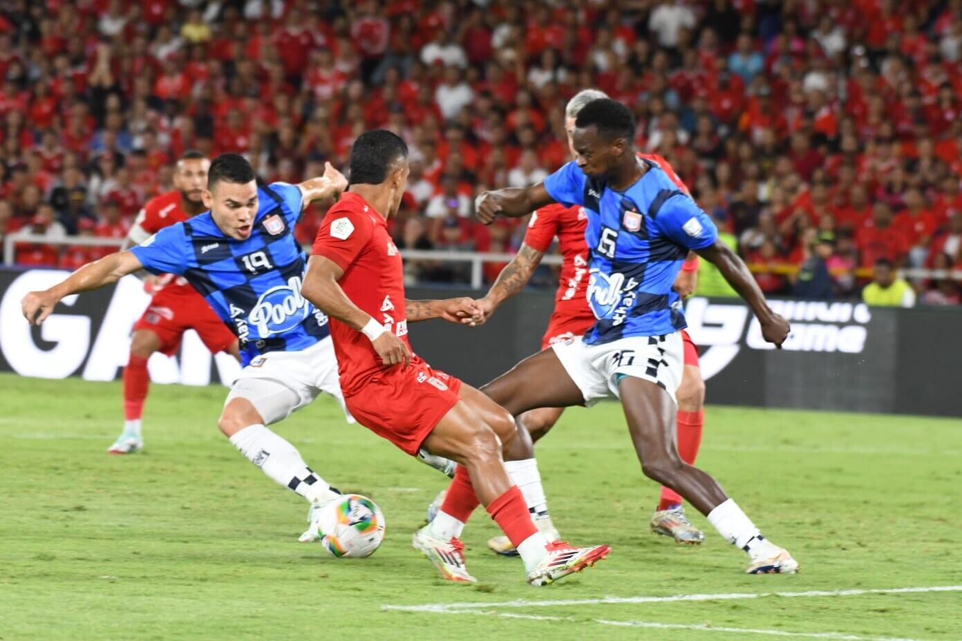 Chicó vs. América: esta sería la ciudad elegida para albergar el partido de la fecha 18 por Liga / Colprensa