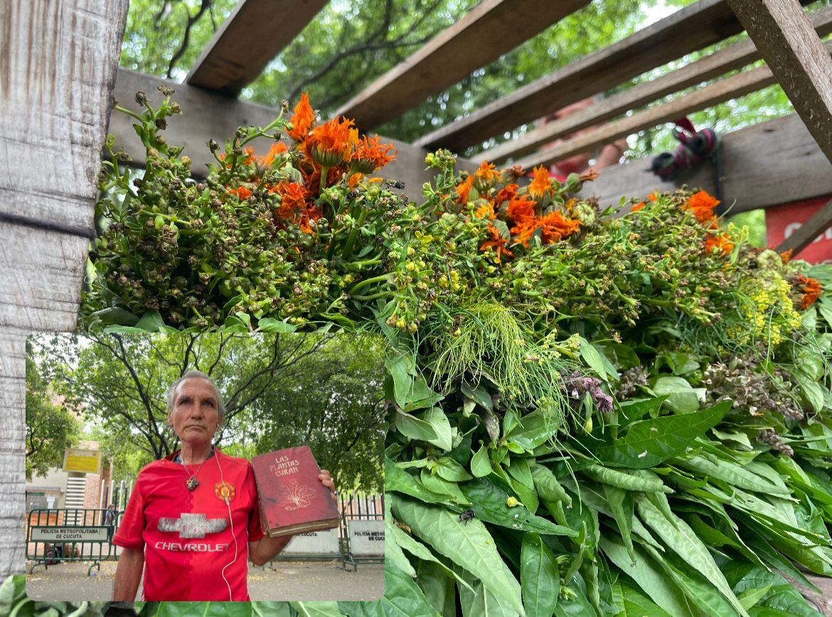 Vendedor de plantas a las afueras del Hospital Universitario Erasmo Meoz.