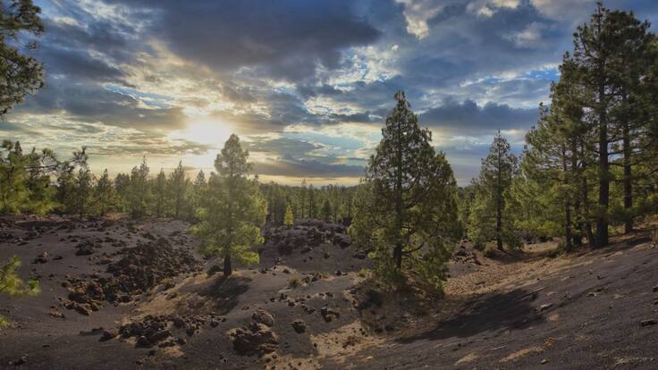 En marcha la convocatoria “Misión Ambiental”
