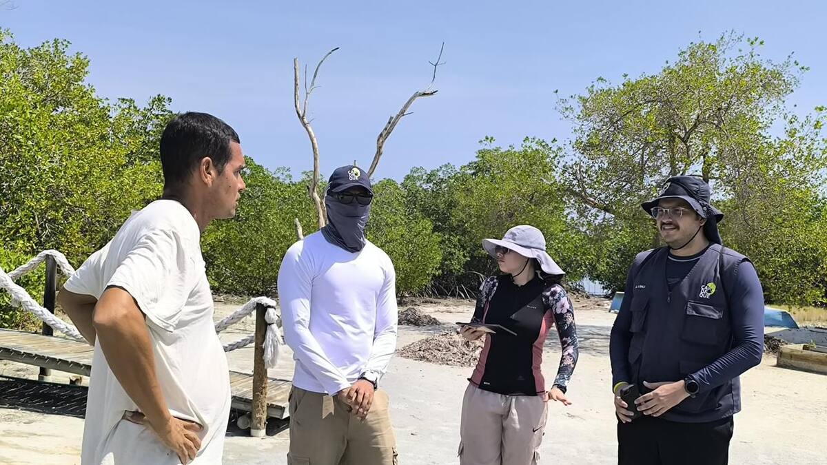 Cardique adelantará acciones legales por afectación a manglares en Archipiélago de San Bernardo