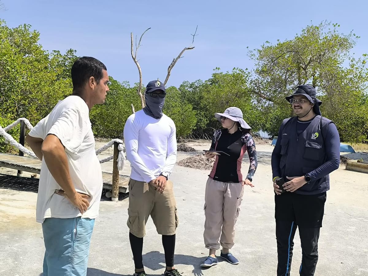 Cardique adelantará acciones legales por afectación a manglares en Archipiélago de San Bernardo