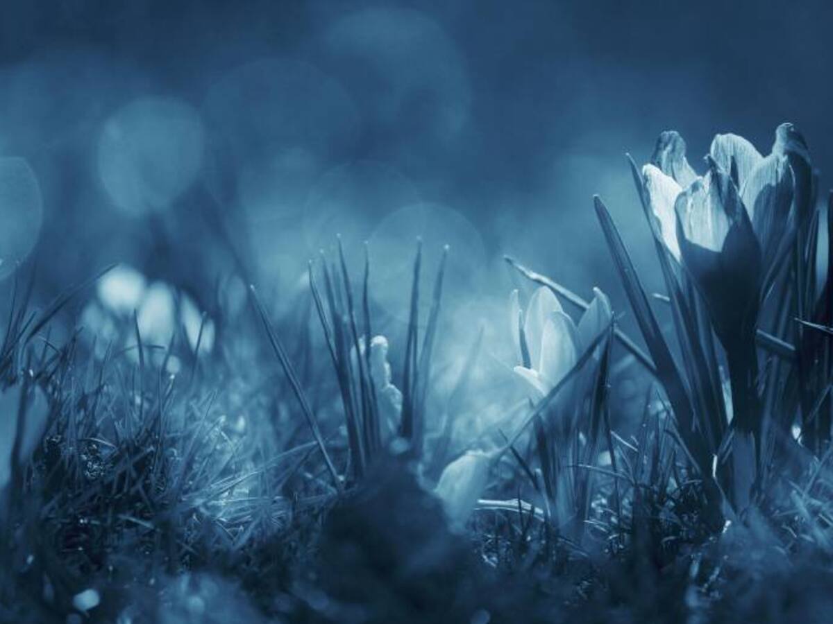 Cáncer de próstata - 06 de abril