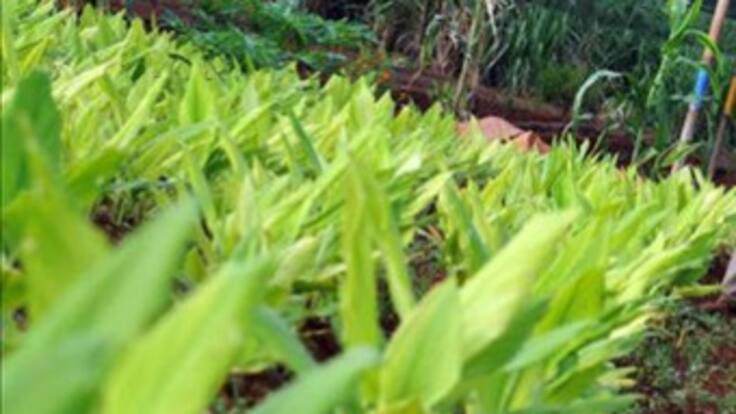 "Es vital ser consciente de la importancia de cada alimento"Ruben Melo