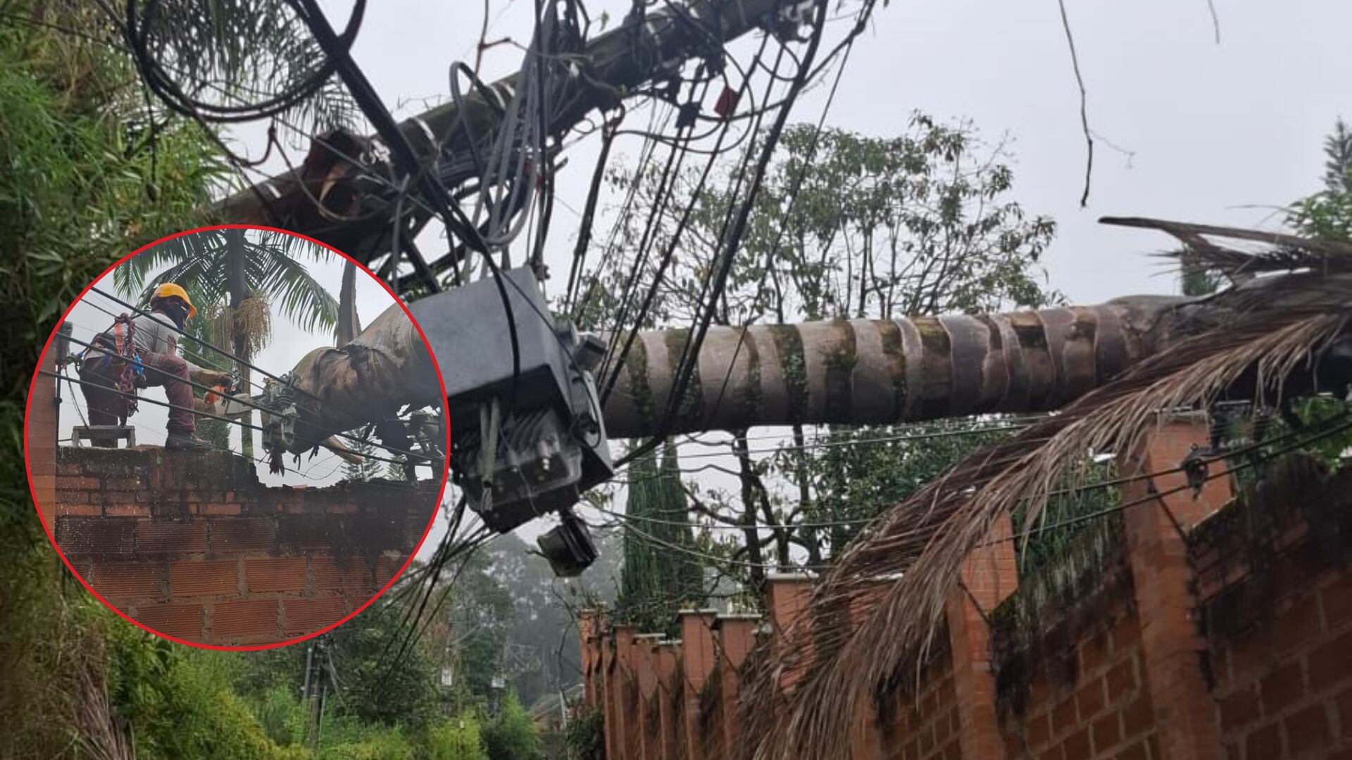 Foto: Empresas Públicas de Medellín (EPM). 