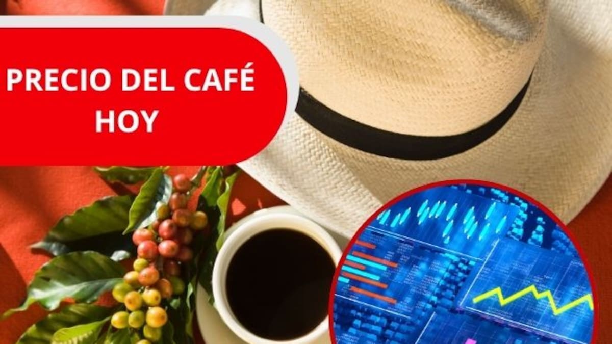 Precio del café en Colombia HOY, 14 de mayo: FNC reporta nueva baja en las cotizaciones