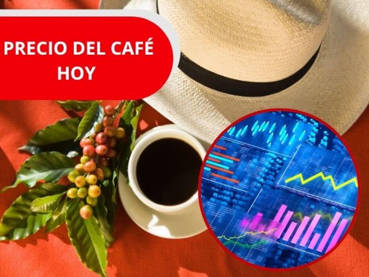Precio del café en Colombia HOY 14 de abril de 2026: FNC reporta aumento en las cotizaciones