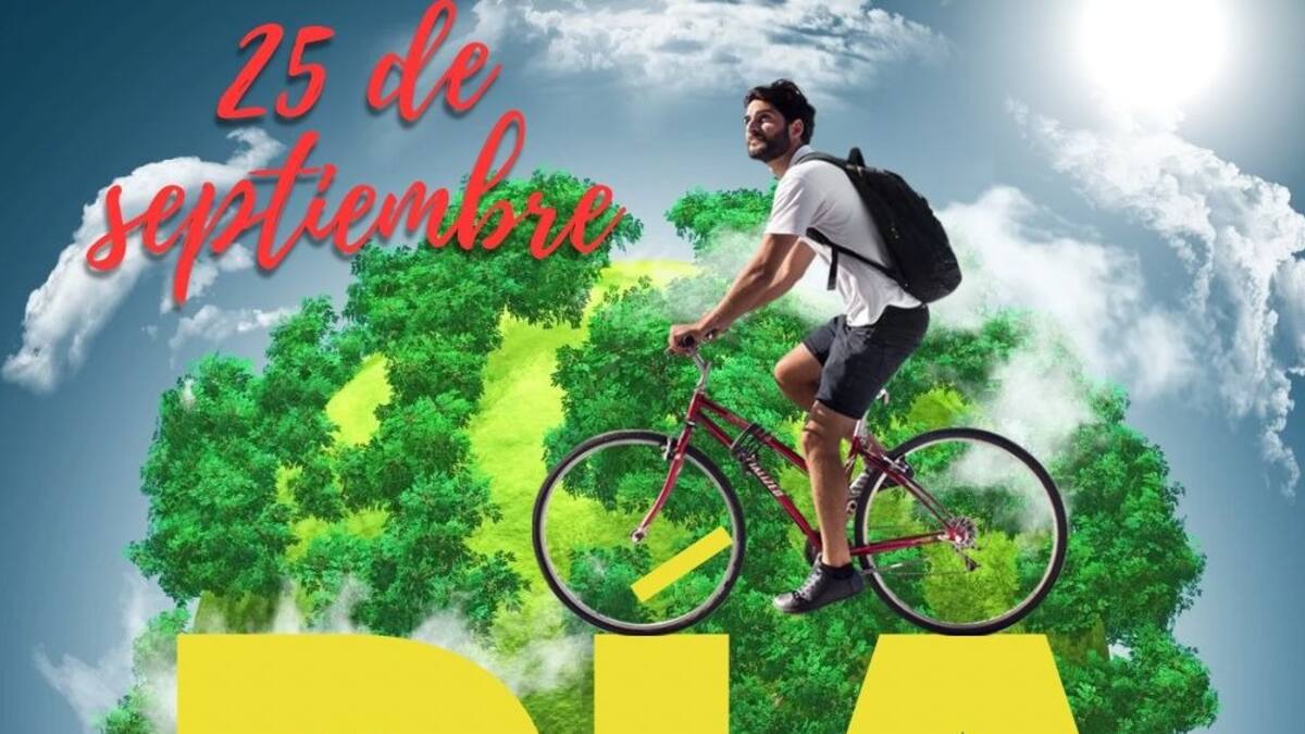 Día Sin Carro y Moto no es obligatorio pero habrá sanción pedagógica a conductores