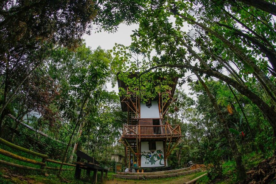 Fotografía suministrada: Ecoparque Los Alcázares el Arenillo.