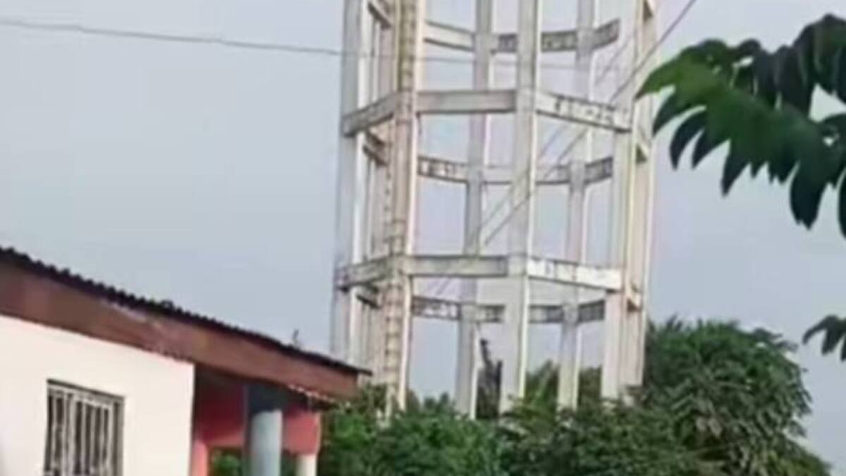 Un muerto y dos lesionados dejó ataque de abejas africanizadas en Tacamocho, Bolívar