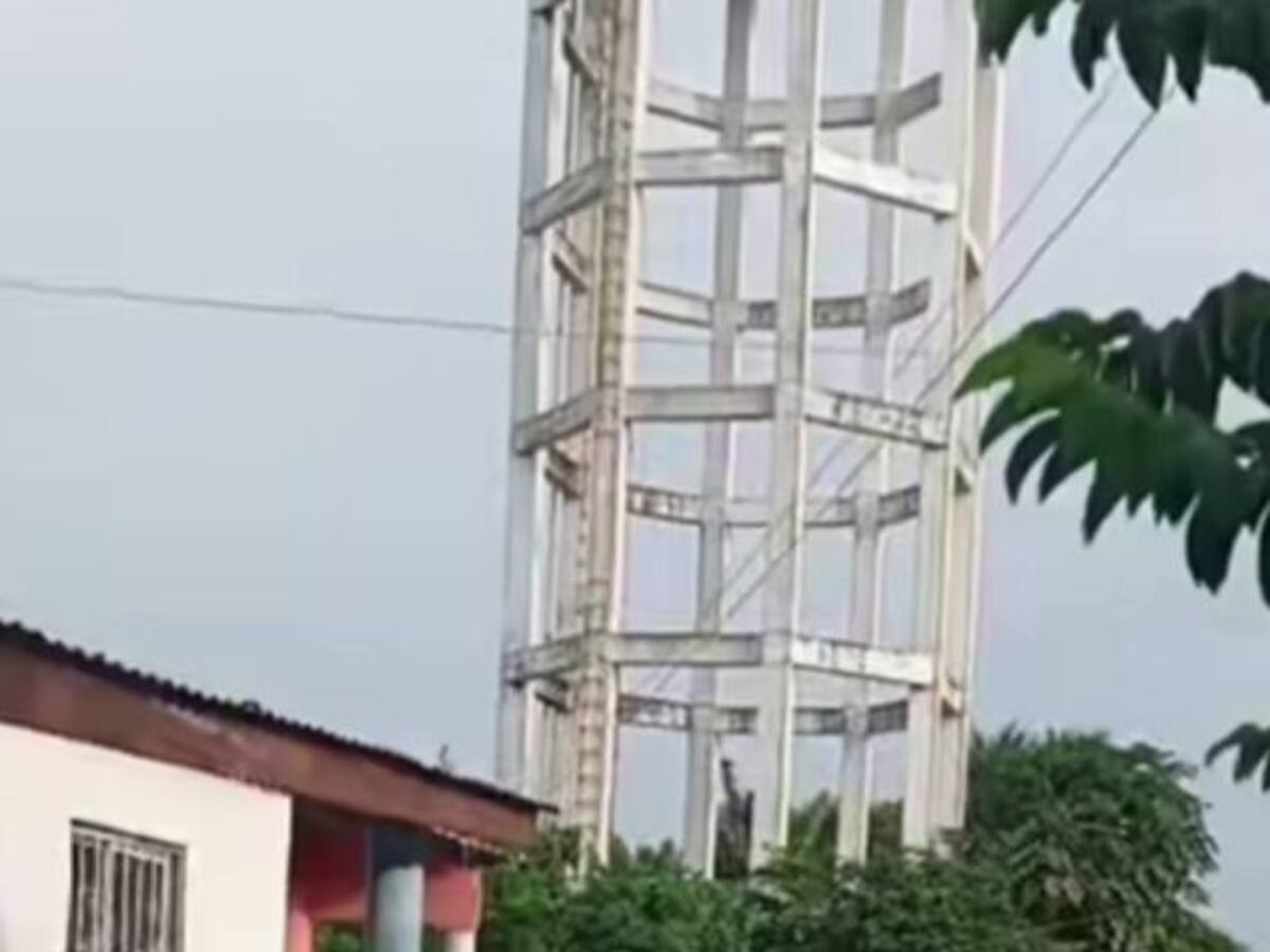 Un muerto y dos lesionados dejó ataque de abejas africanizadas en Tacamocho, Bolívar