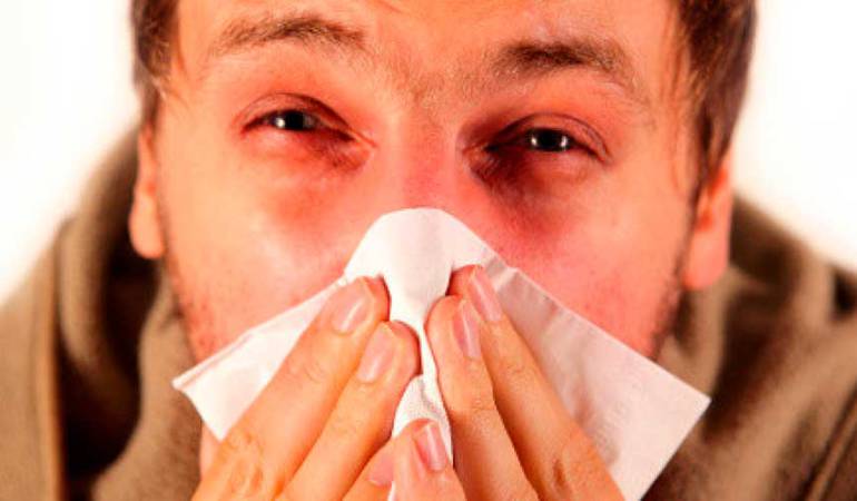 Imagen de referencia