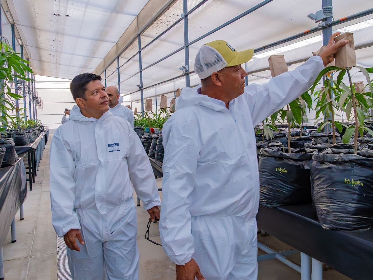 Inauguran el primer Invernadero de Bioseguridad Tipo II en el Caribe colombiano