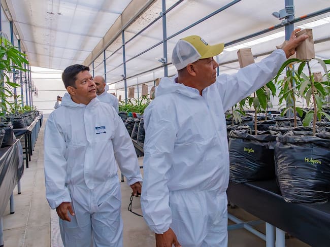 Inauguran el primer Invernadero de Bioseguridad Tipo II en el Caribe colombiano/ Universidad del Magdalena.
