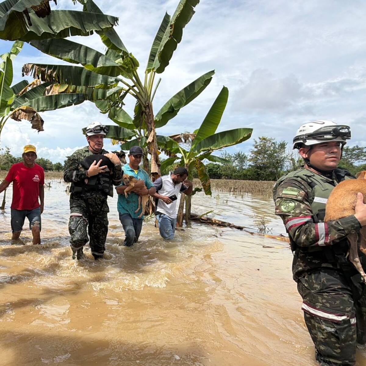 Crece la emergencia por desbordamientos del río Sinú y fuertes lluvias en Córdoba
