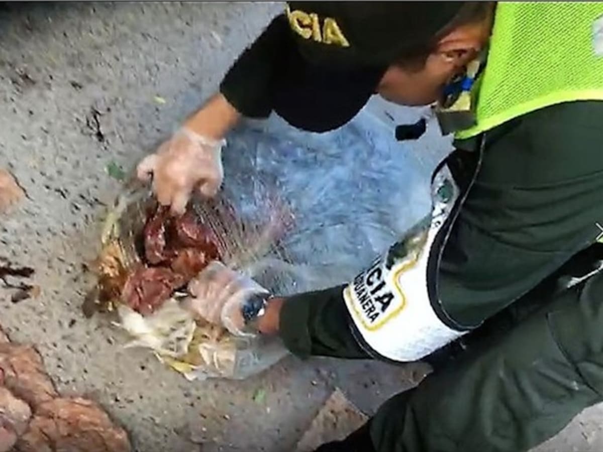Incautan media tonelada de carne de contrabando en Santa Marta