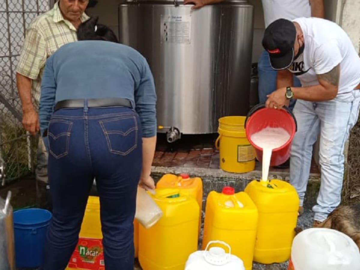 Productores de leche, entre vender más barata, regalar o botar por bloqueos