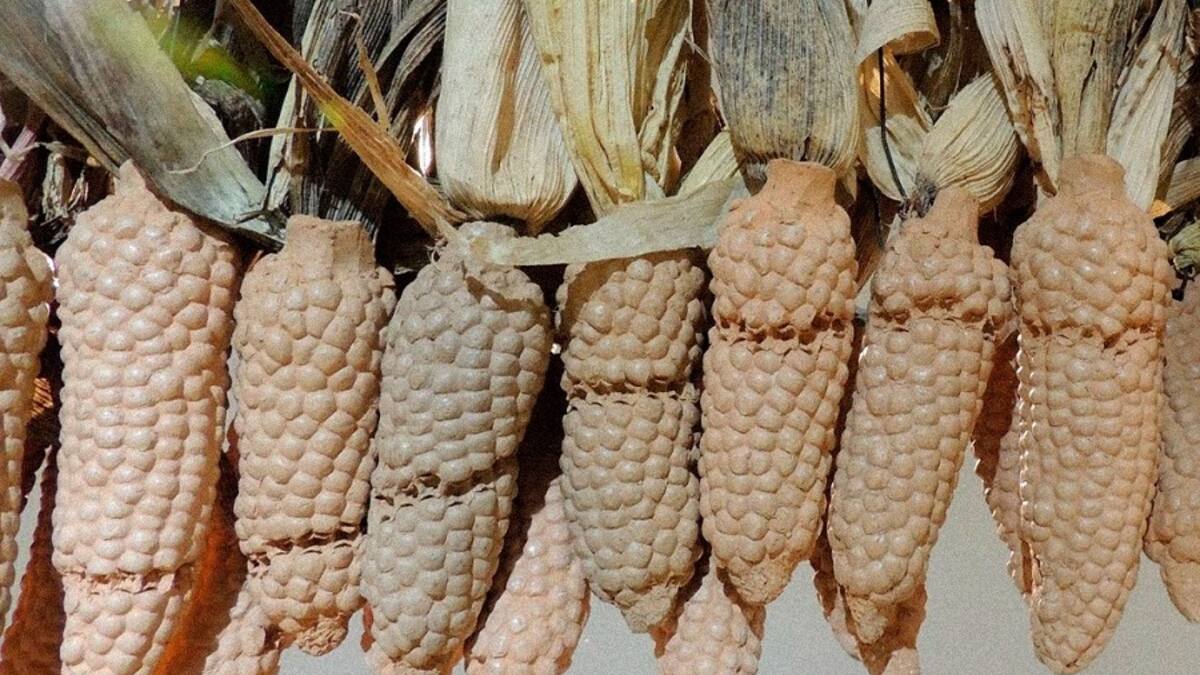 La exposición Retrospectiva del Premio Arte Joven se inaugurará en Cartagena