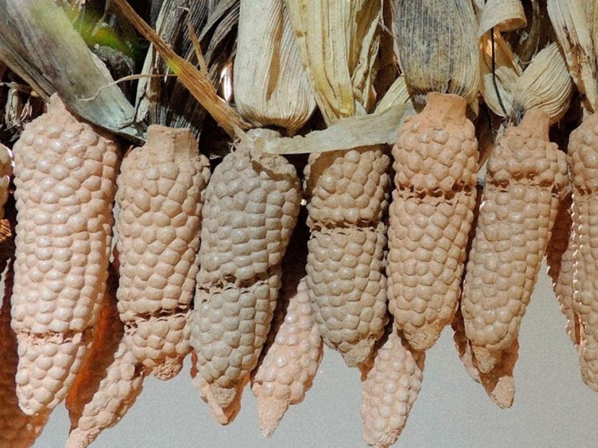 La exposición Retrospectiva del Premio Arte Joven se inaugurará en Cartagena