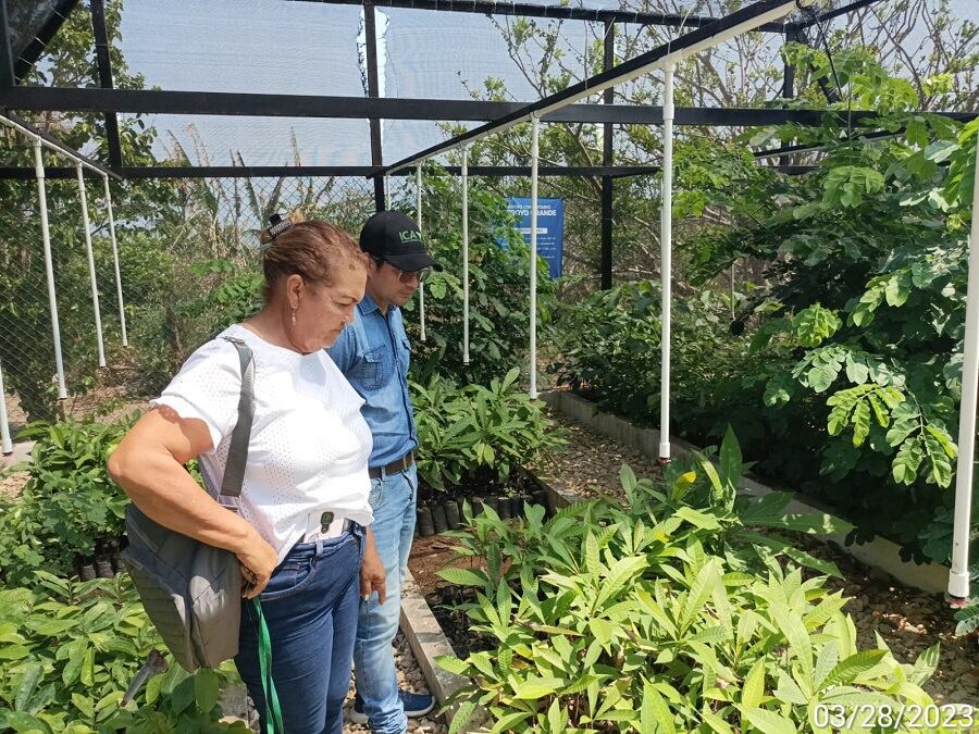 Instituto Colombiano Agropecuario (ICA)