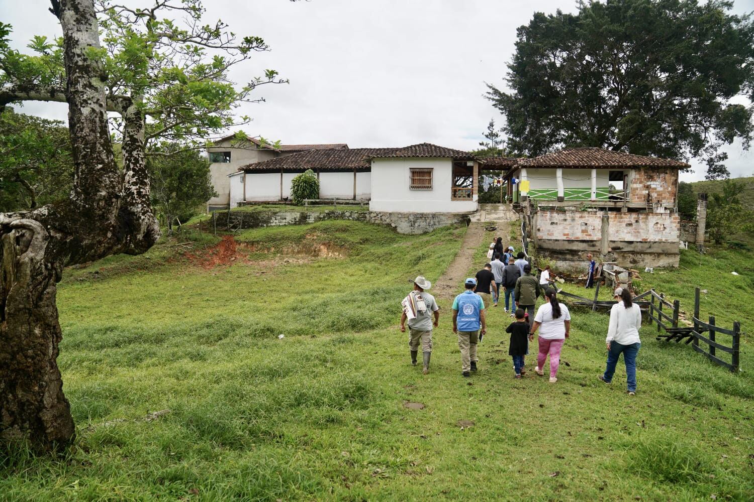 Los excombatientes se trasladarán a un terreno de 333 hectáreas en el municipio de Yalí conocido como El Viento. Foto: Cortesía ARN.