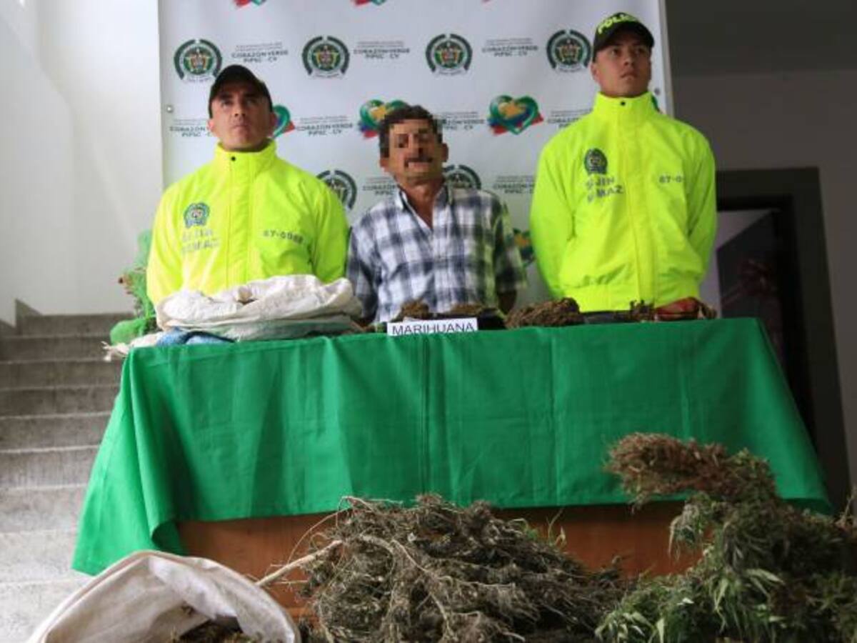 Capturan a un hombre por la siembra y venta de marihuana