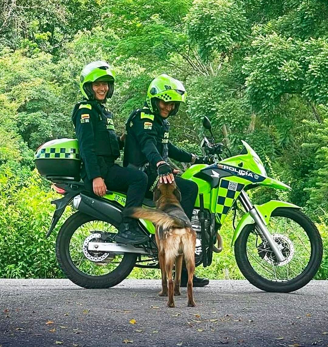 Incondicionalidad canina: un refugio de cariño con sello policial