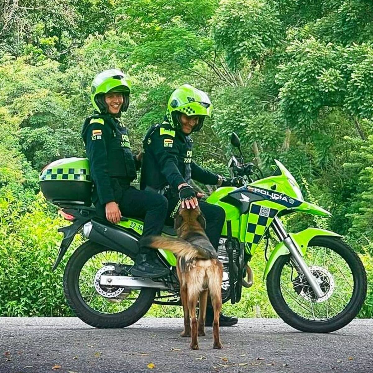 Incondicionalidad canina: un refugio de cariño con sello policial