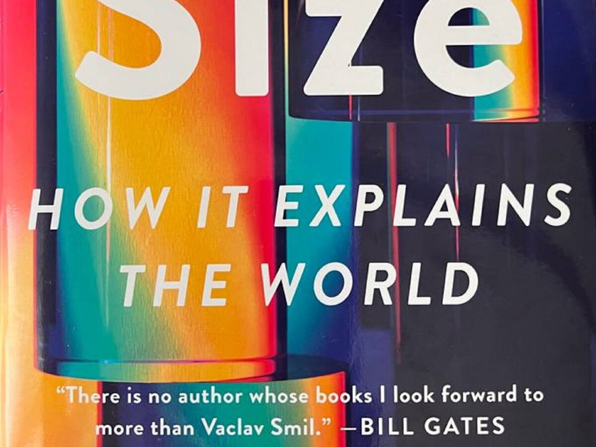 Viernes de libros: Size