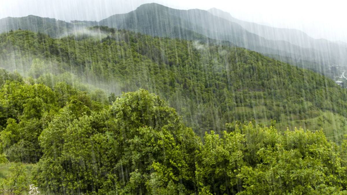 Así sería el impacto de La Niña sobre el agro colombiano