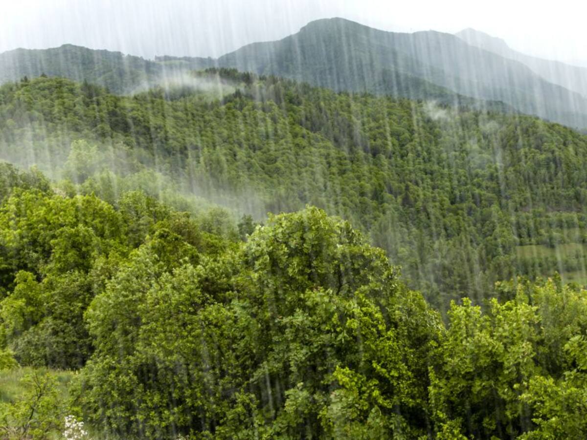 Así sería el impacto de La Niña sobre el agro colombiano