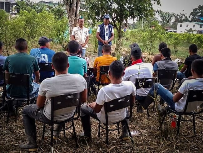 Fueron liberados 18 jóvenes en zona rural de Tumaco. Cortesía Defensoría del Pueblo
