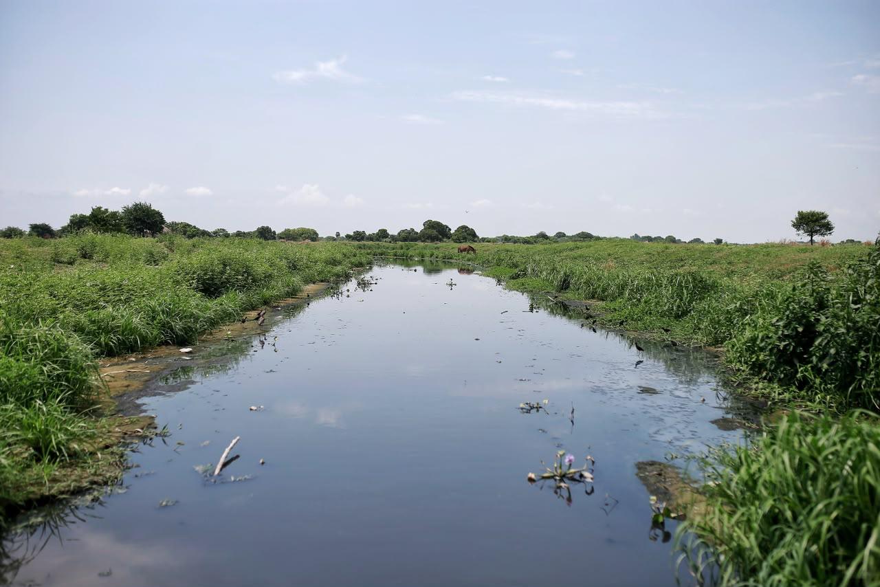 Río Magdalena enfrenta cambios en sus niveles por el fenómeno de El Niño