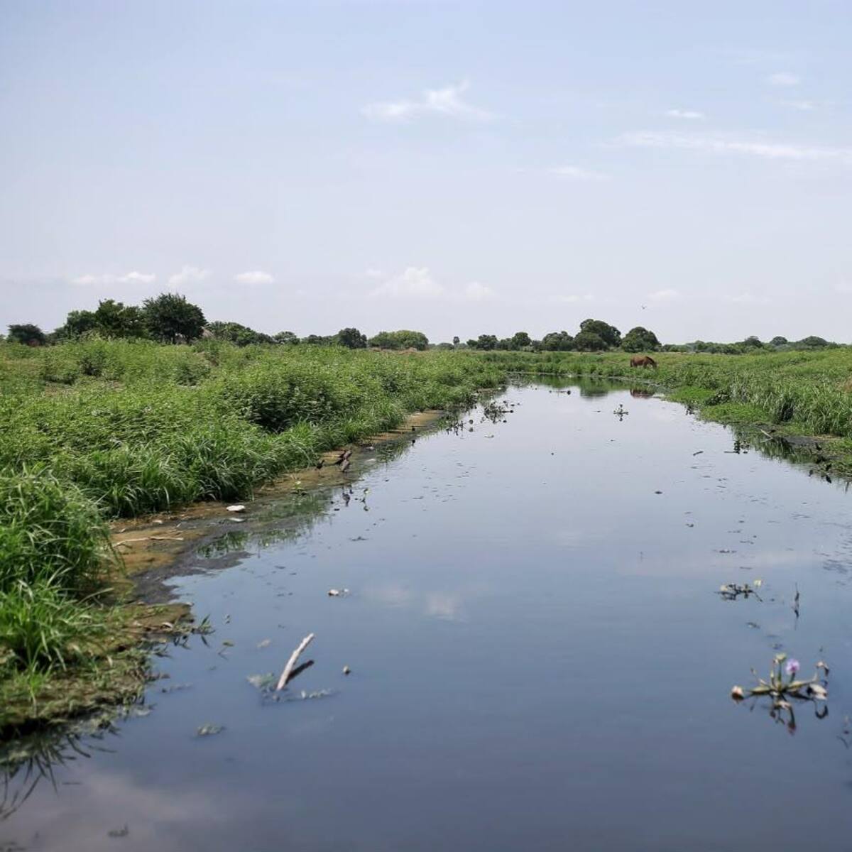 Río Magdalena enfrenta cambios en sus niveles por el fenómeno de El Niño
