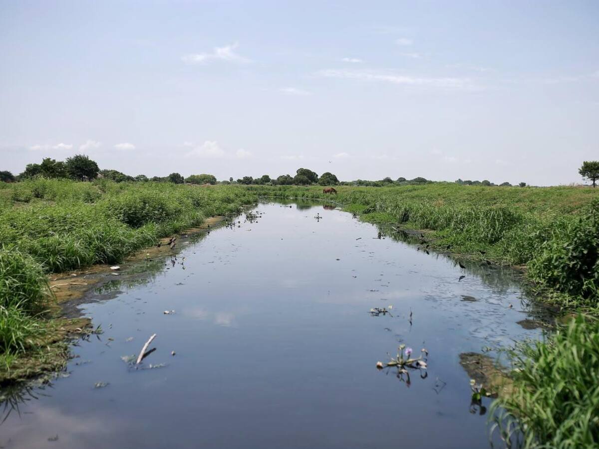 Río Magdalena enfrenta cambios en sus niveles por el fenómeno de El Niño