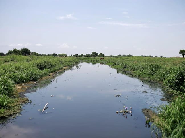 Río Magdalena enfrenta cambios en sus niveles por el fenómeno de El Niño