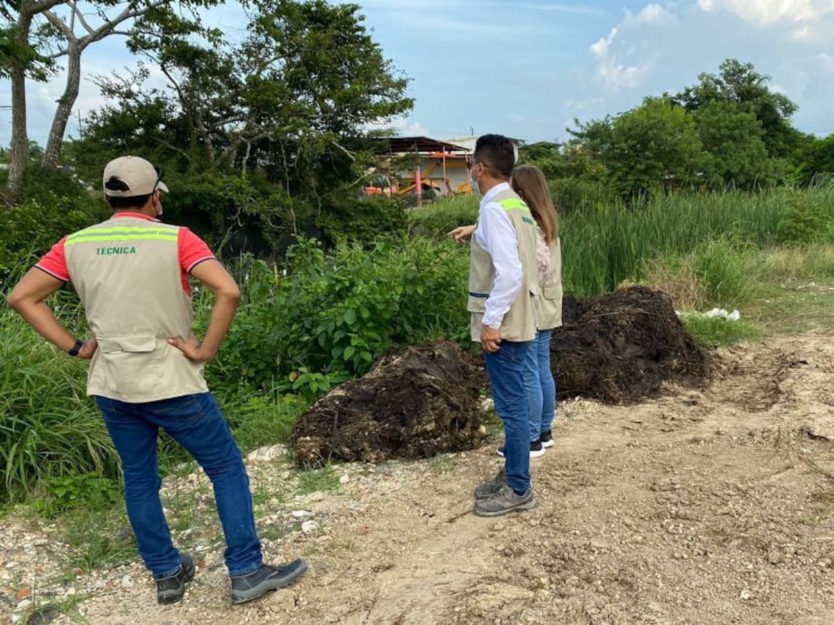 EPA Cartagena impondrá sanciones por vertimientos en Policarpa