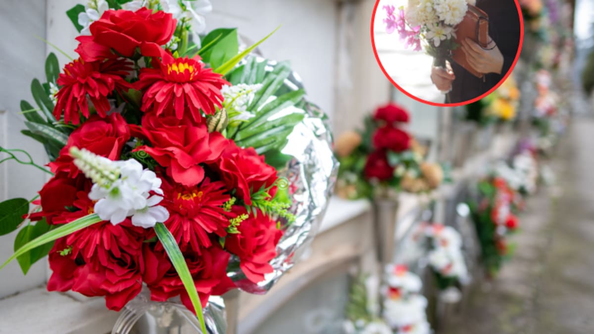 Esto cuesta un funeral en Colombia 2025: servicios básicos que incluye, tipos de planes y más