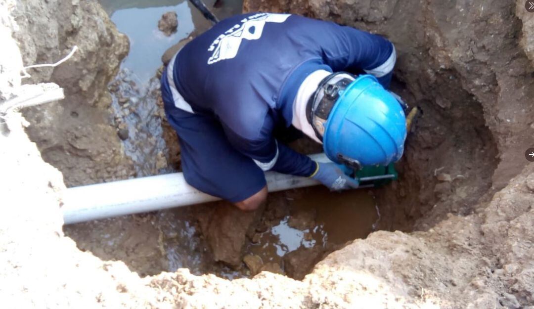 Imagen de referencia