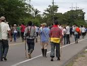 indígena del Pata decidirá si vuelve la minga