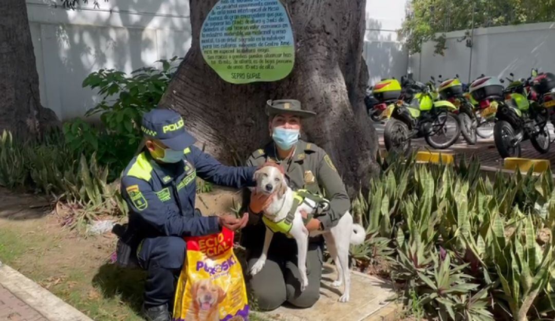 La jornada se realizó en el barrio 7 de Agosto