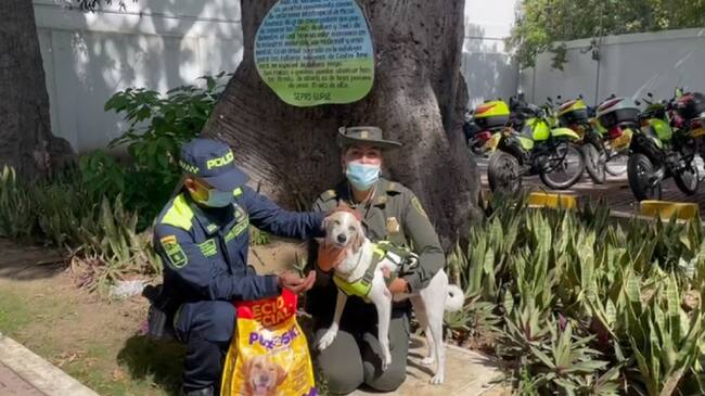 La jornada se realizó en el barrio 7 de Agosto