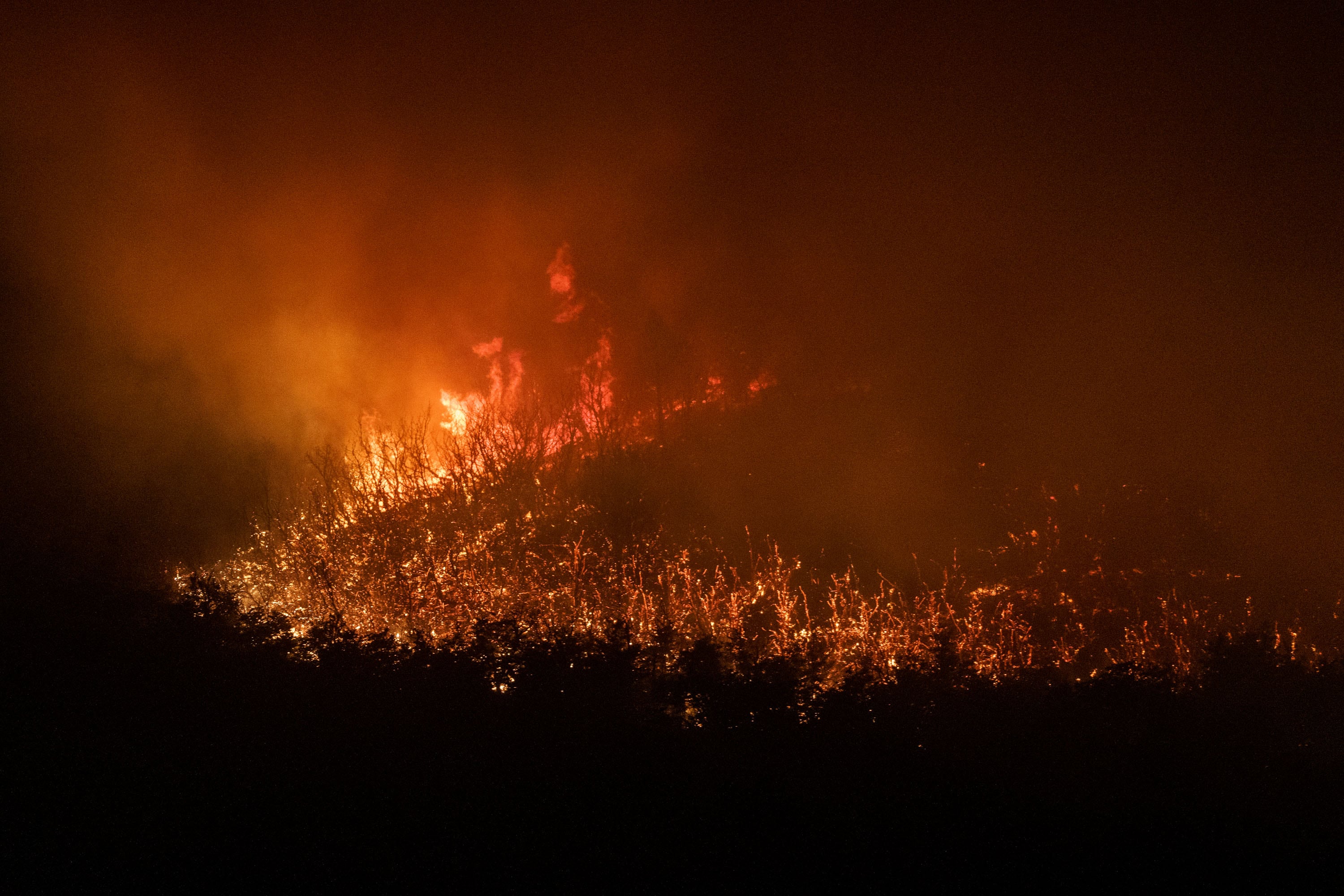 Fotografía cedida por Greenpeace de un incendio forestal en Neuquén (Argentina). Los incendios forestales consumieron casi 40.000 hectáreas de bosque.
EFE/ Federico Soto/ Greenpeace /SOLO USO EDITORIAL