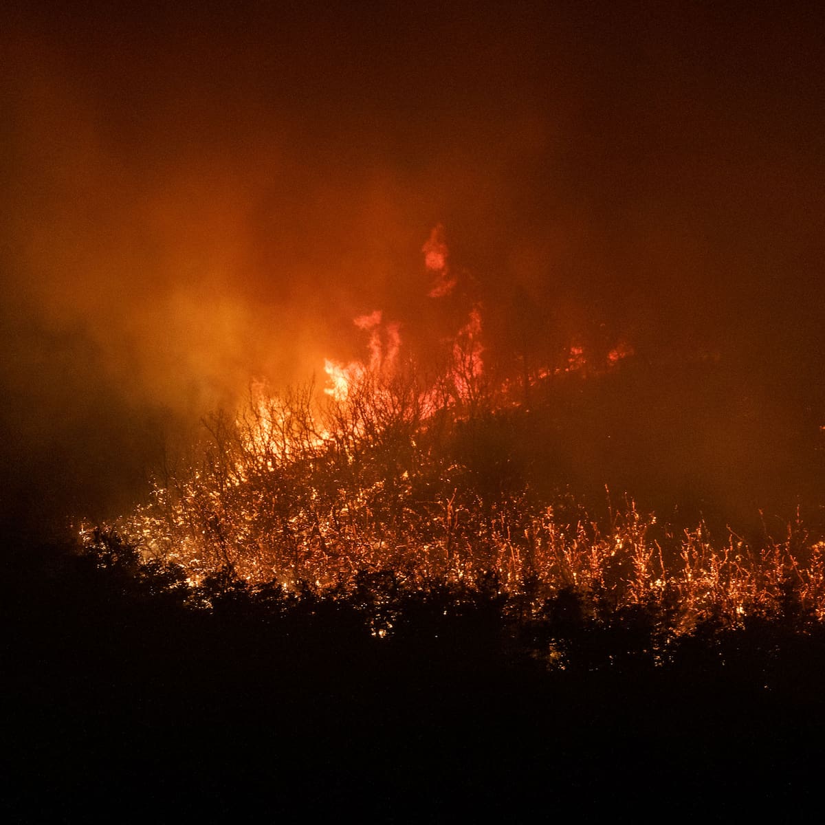 Incendios en la Patagonia se reactivan por altas temperaturas