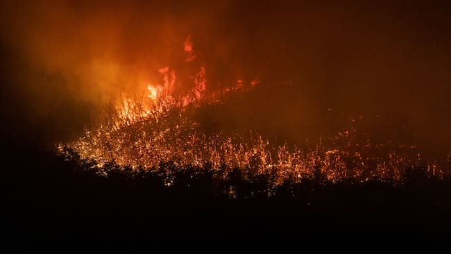 AME9918. NEUQUÉN (ARGENTINA), 13/02/2025.- Fotografía cedida por Greenpeace de un incendio forestal en Neuquén (Argentina). Los incendios forestales consumieron casi 40.000 hectáreas de bosque, hasta este jueves, en distintas zonas de la Patagonia argentina, mientras organizaciones sociales convocaron protestas en varias ciudades del país para exigir “acciones urgentes” ante la falta de protección y prevención por parte del Gobierno de Javier Milei. EFE/ Federico Soto/ Greenpeace /SOLO USO EDITORIAL/SOLO DISPONIBLE PARA ILUSTRAR LA NOTICIA QUE ACOMPAÑA (CRÉDITO OBLIGATORIO)