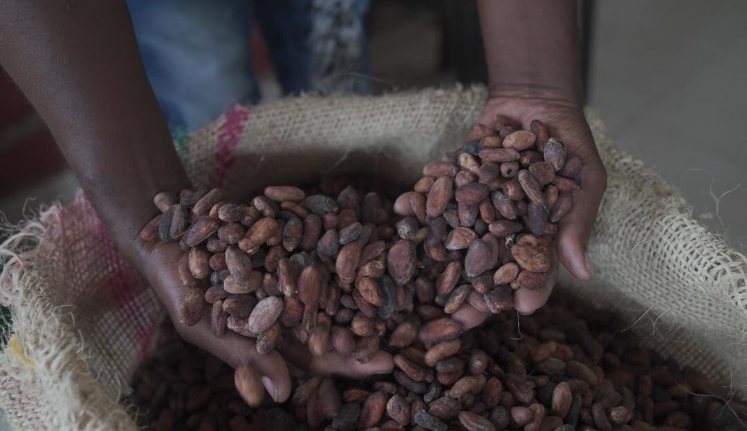 Cacao de Tumaco