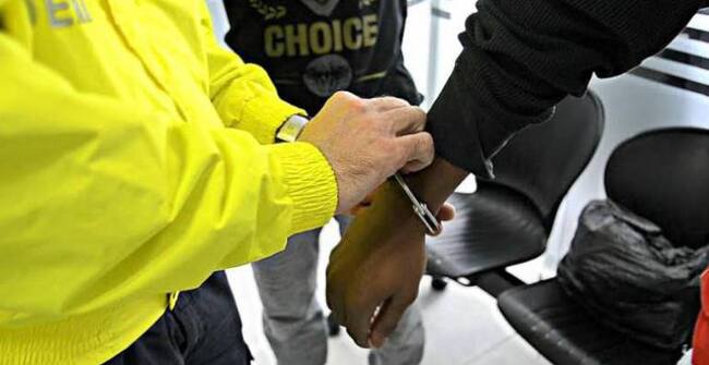 Imagen de referencia