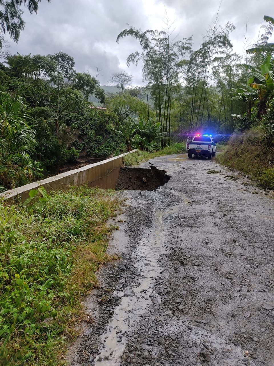 Foto: Gobernación de Risaralda